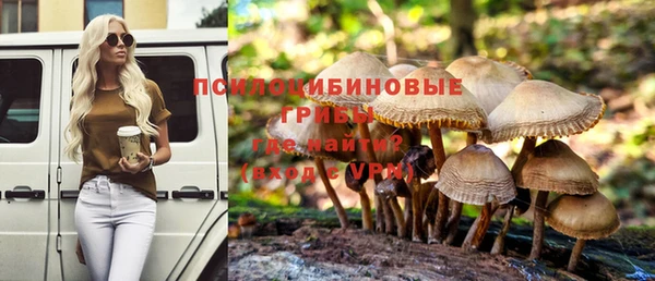 крисы Абдулино