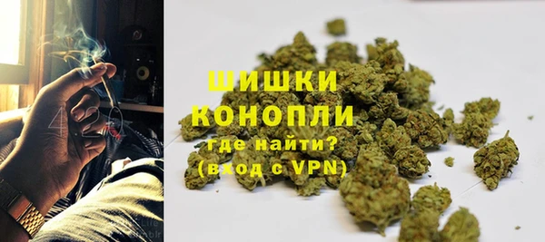 крисы Абдулино