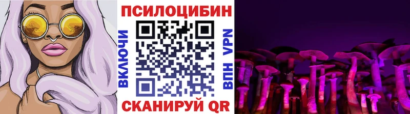 как найти   Дивногорск  Псилоцибиновые грибы прущие грибы 